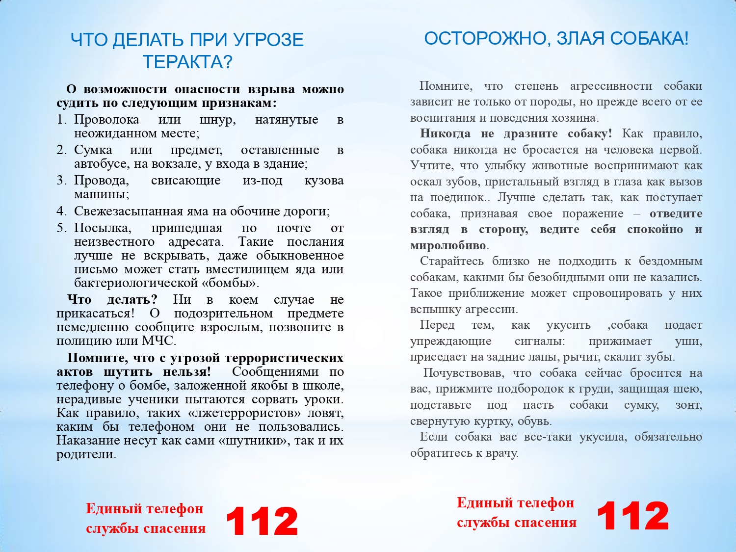 Паспорт безопасности школьника наш_page-0007.jpg